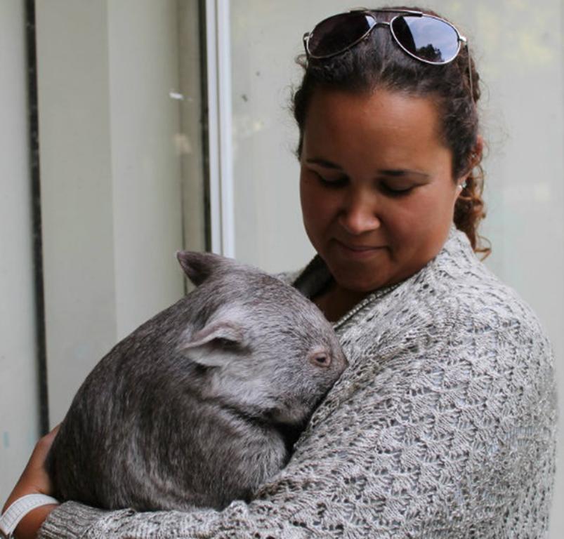Fauna Australia Wildlife Retreat Lavers Hill Exterior foto