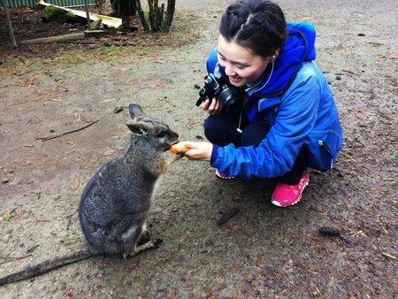 Fauna Australia Wildlife Retreat Lavers Hill Exterior foto